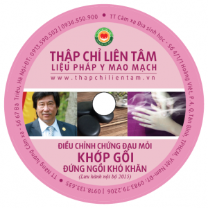 dau khop goi Dia DVD Thap Chi Dao Thap Chi Lien Tam Du Quang Chau Pink