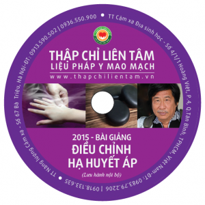huyet ap Dia DVD Thap Chi Dao Thap Chi Lien Tam Du Quang Chau Purple